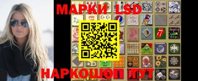 шишки Донской