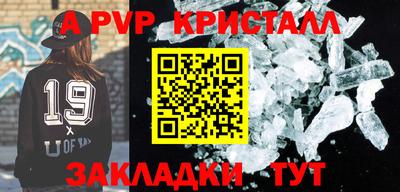 шишки Донской