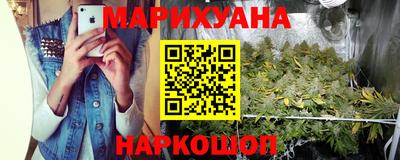 шишки Донской