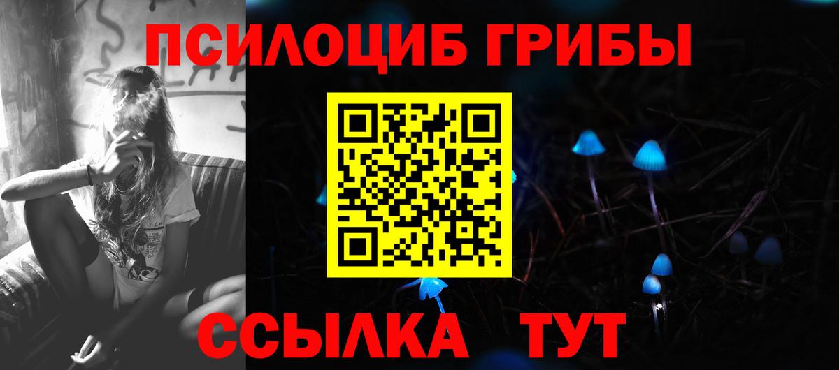 Псилоцибиновые грибы MAGIC MUSHROOMS Майкоп